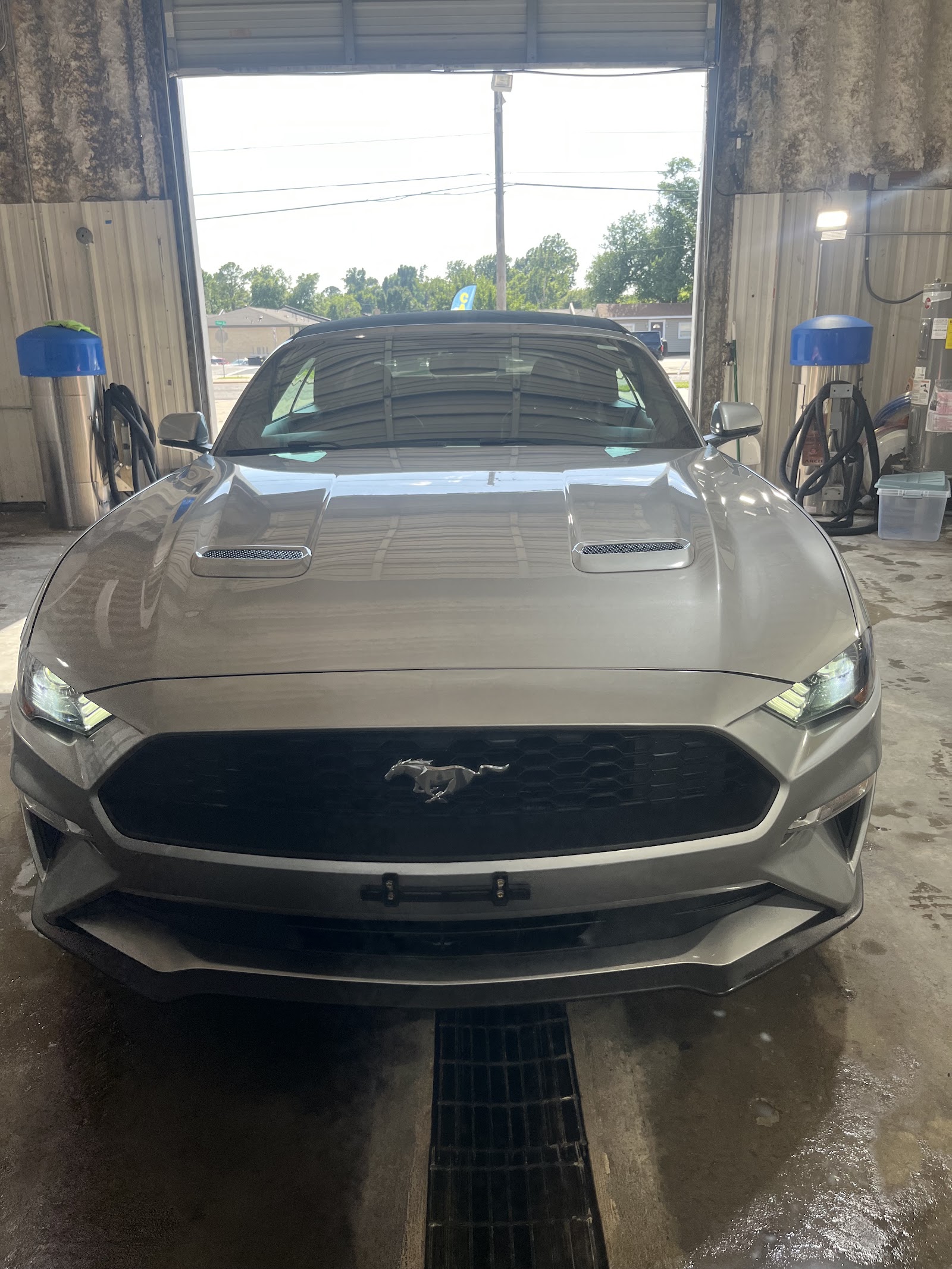 Professional Auto Detailing — professional service